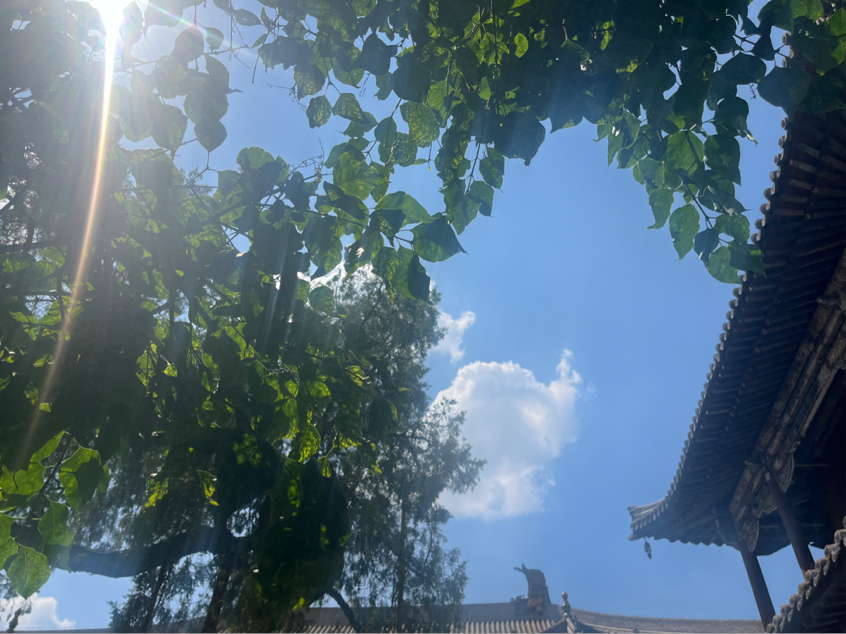 图片 2.png 图片 2.png